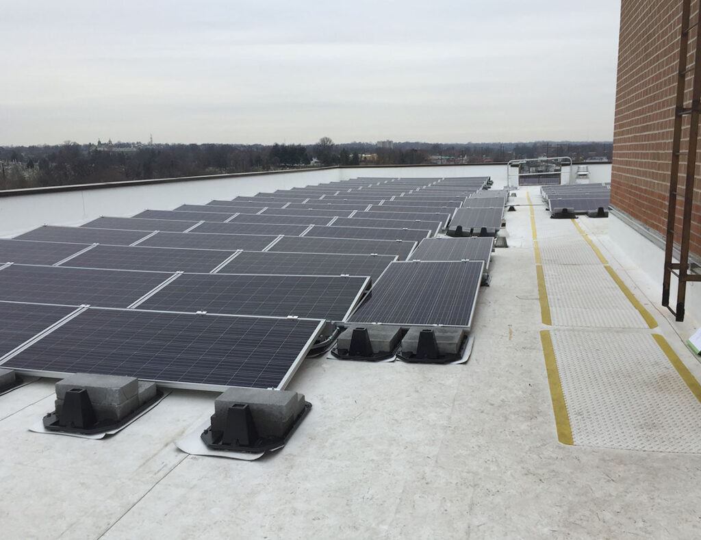 primrose-place-solar